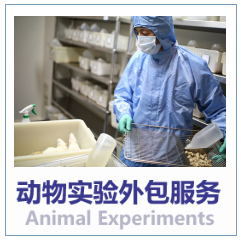动物实验技术服务