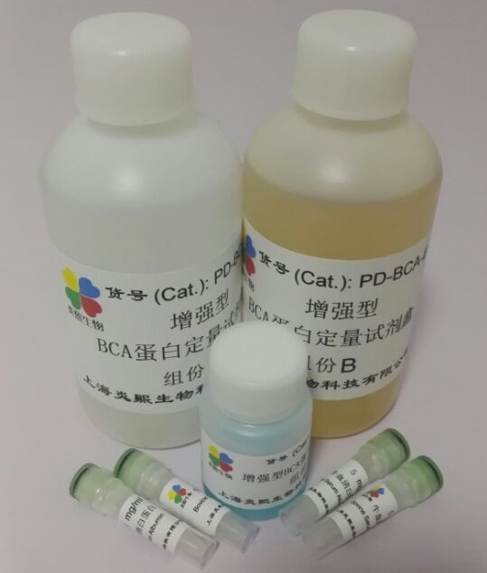 增强型BCA蛋白定量试剂盒