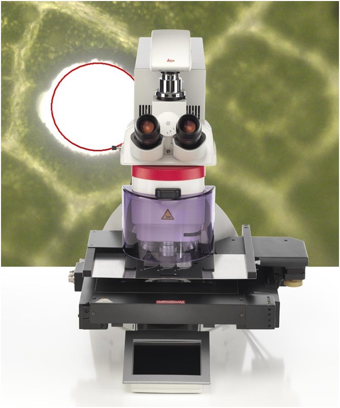 Leica激光显微切割
