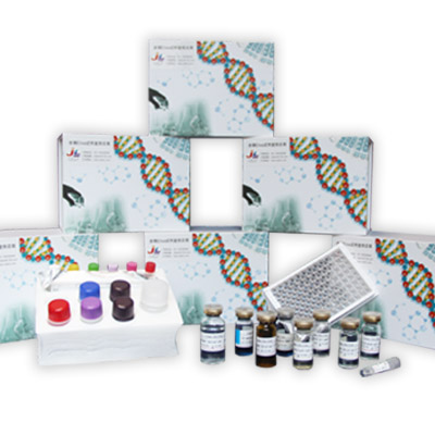 人血管紧张素Ⅱ(ANG-Ⅱ)ELISA试剂盒优质现货