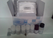 白介素ELISA试剂盒