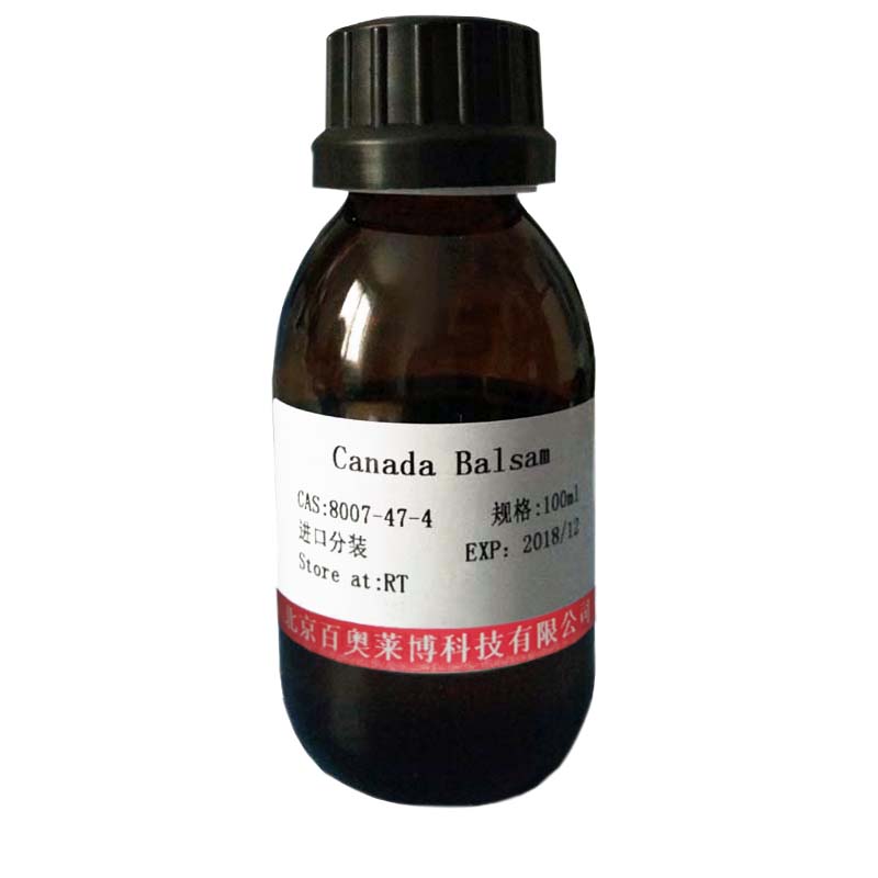 10×WB洗涤液(PBS) 蛋白质研究