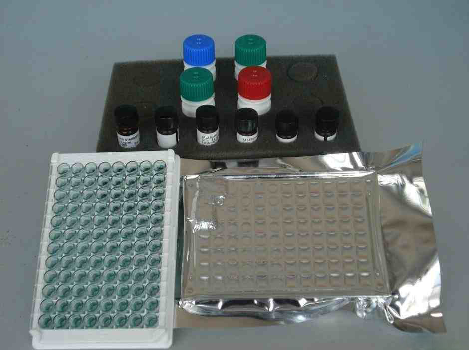 代测大鼠转化生长因子α(TGF-α)ELISA 试剂盒