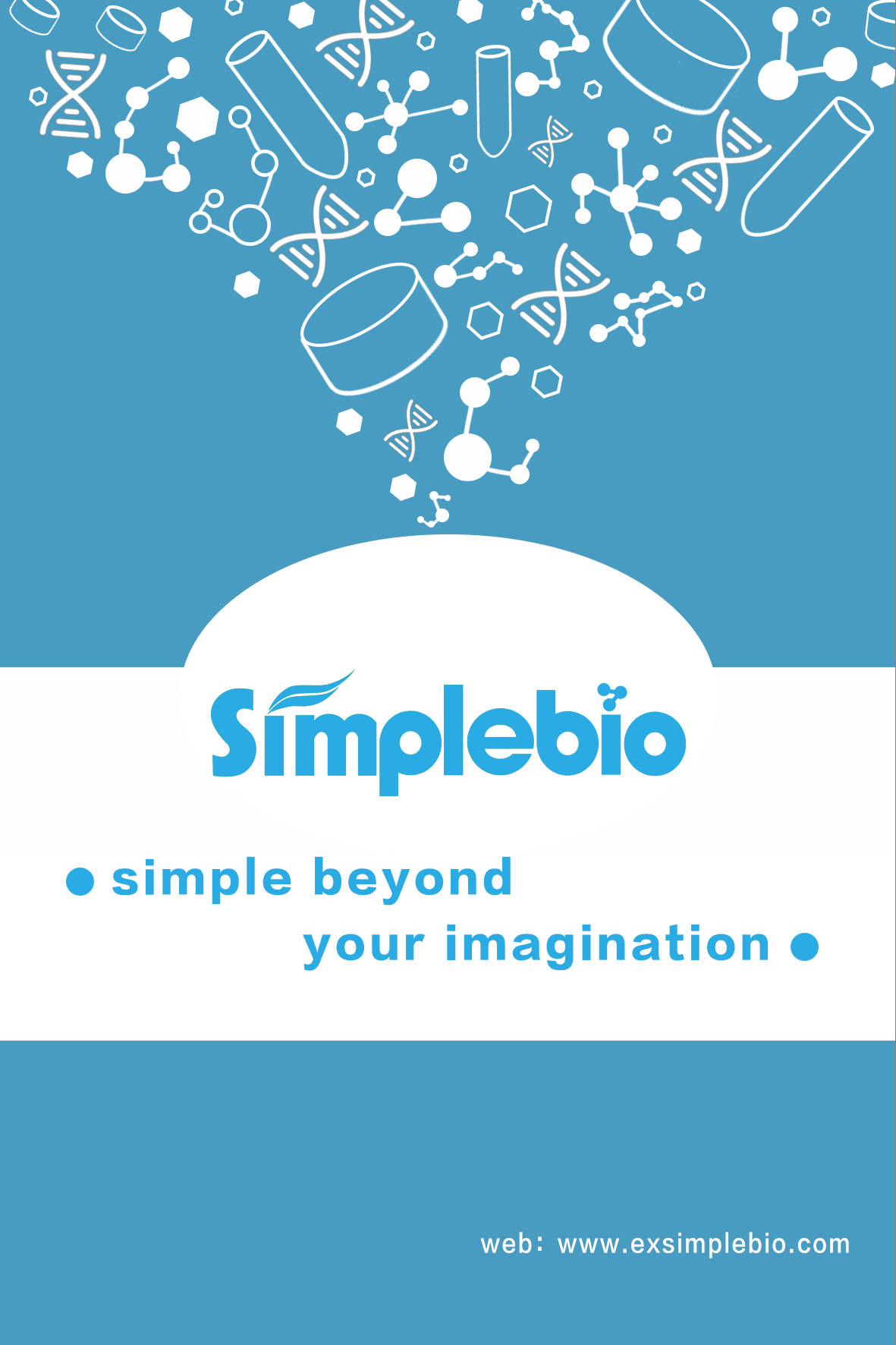 SimpleTrans Turbo1-T1 抗噬菌体化学感受态细胞