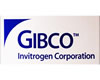 GIBCO 澳洲胎牛血清价格，GIBCO胎牛血清141参数