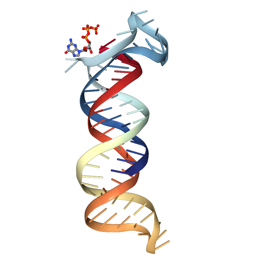 LongRNA-seq（mRNA,circRNA,lncrna)测序服务