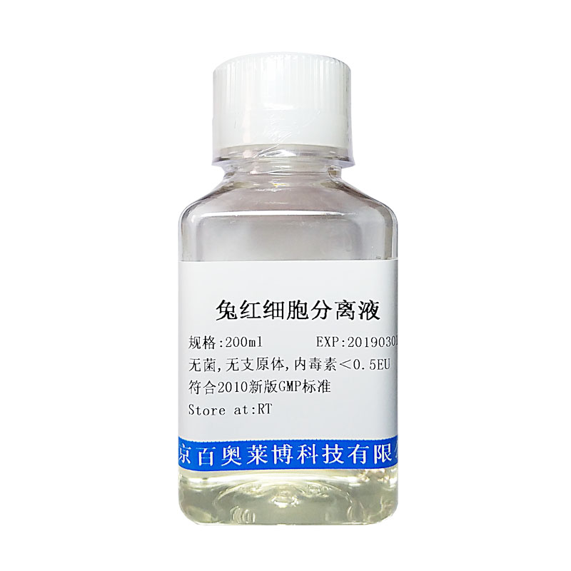 北京SY0195型SMAD-GFP报告基因质粒现货价格