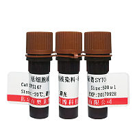 Hoechst 33342 染液(1mg/ml)说明书