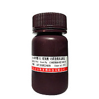 SP1凝胶迁移探针(10μM)现货促销