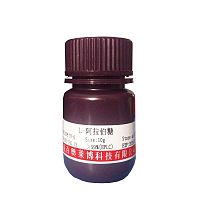 封闭液(用TBS配置，含曲拉通X-100)厂家现货