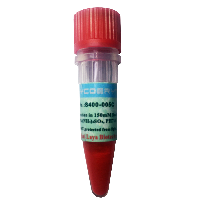 R-PE国产免疫荧光试剂藻红蛋白沉淀