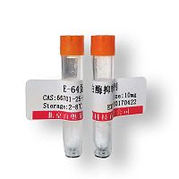 AP2凝胶迁移探针(10μM) 凝胶迁移EMSA