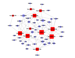 miR和基因的调控网络 microRNA Target Gene Network