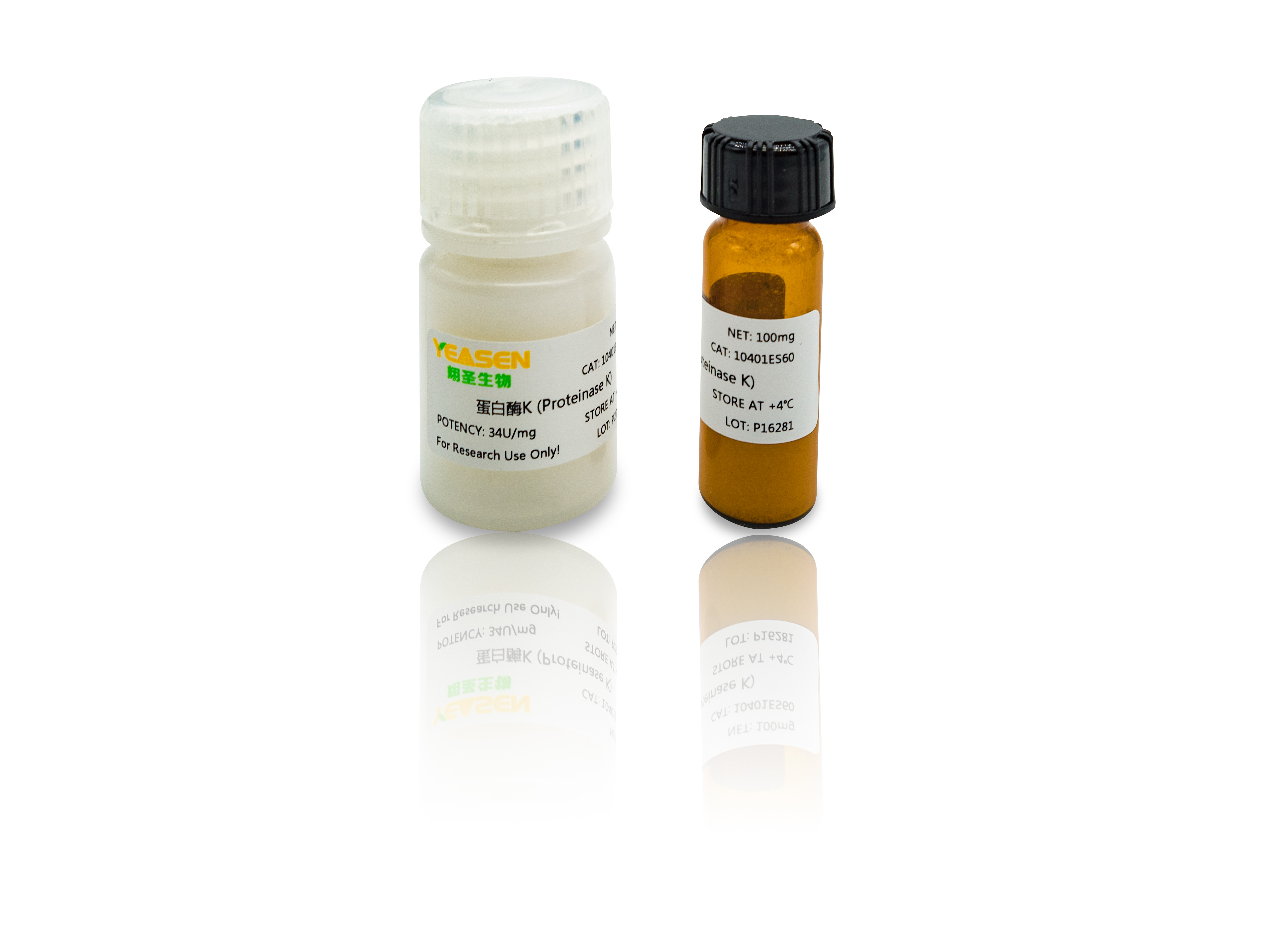 蛋白酶K Proteinase K 丝氨酸蛋白酶