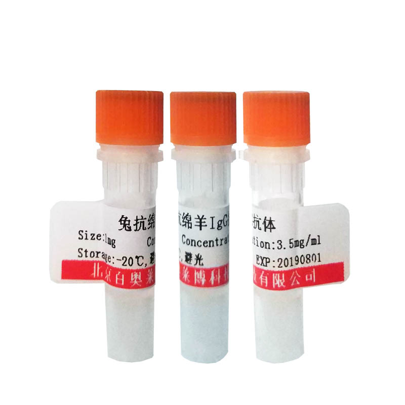 北京羊抗乙肝表面抗原抗体(BIOTIN标记)价格