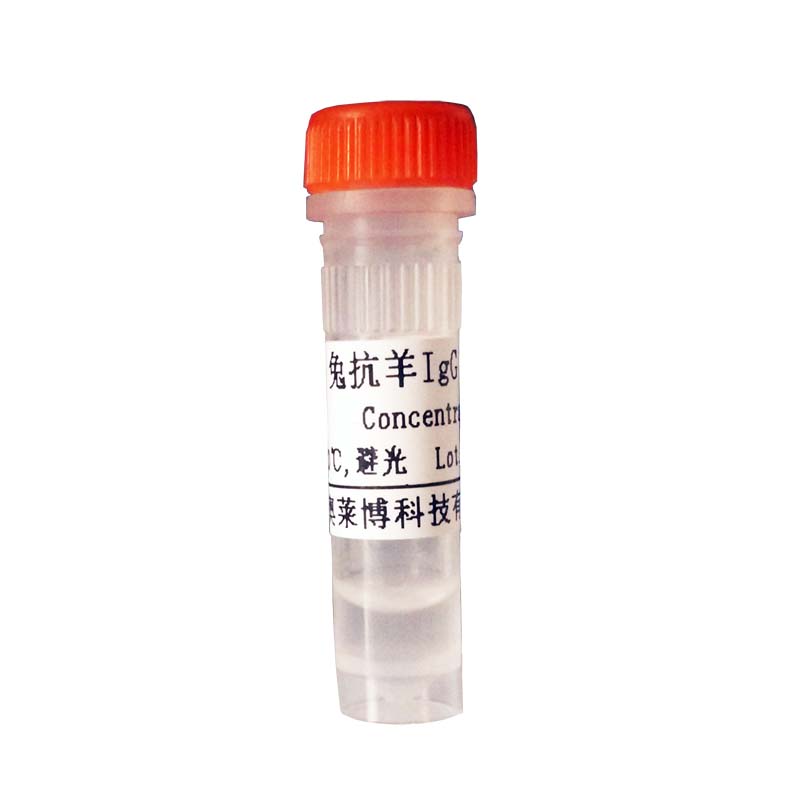 北京现货BL0946型生物素化兔抗鸡IgG抗体优惠