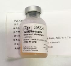 Biocoat356234Matrigel基底膜基质胶