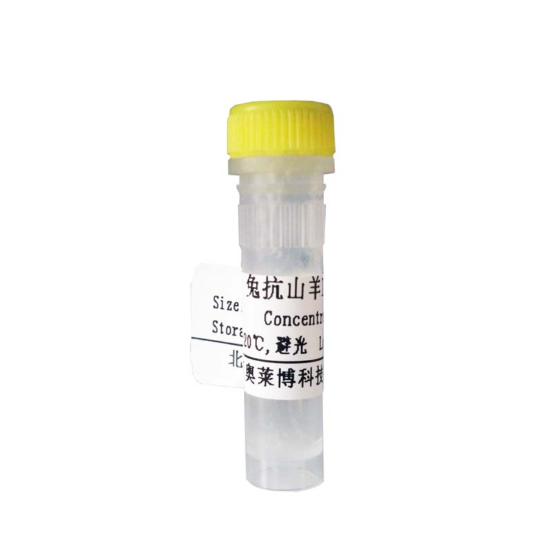 CYB164036型兔抗羊IgG(1：500～1000)-HRP价格