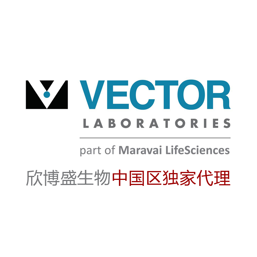 Vector M.O.M.™ Kit (Mouse-On-Mouse Immunodetection) 鼠抗鼠荧光免疫检测套盒