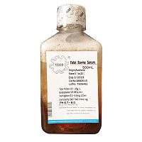 北京NQBB大鼠血清(澳洲进口血清)厂家