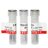 北京AEBSF溶液现货供应