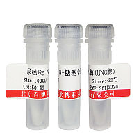 TBE电泳液,10×价格