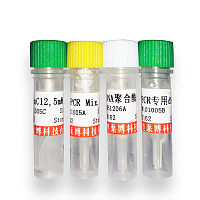 DNase I干粉说明书