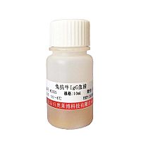 小鼠血清现货价格