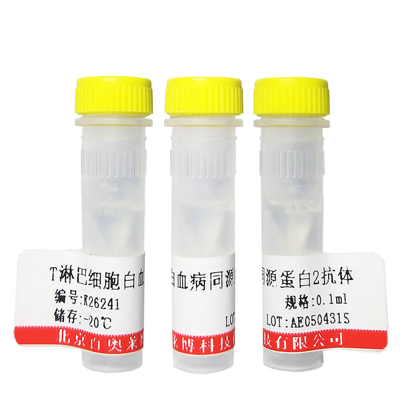 北京现货整合素β2/Integrin β2抗体促销