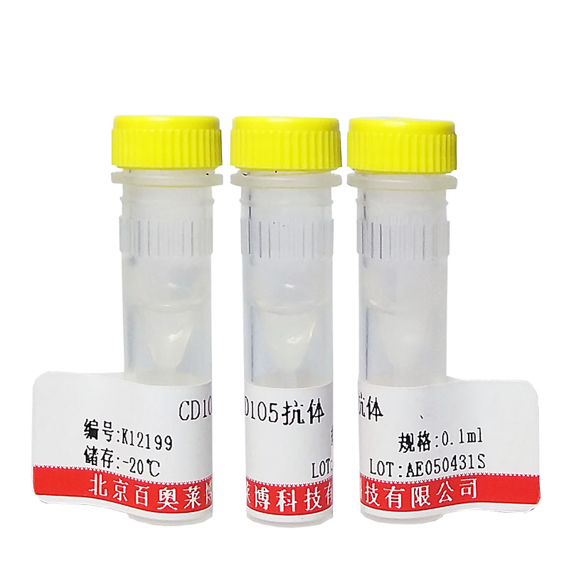 北京现货磷酸化Ephrin B2抗体打折促销