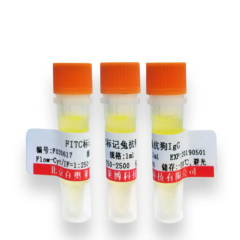 北京现货先心病相关蛋白TBX1抗体(国产,进口)