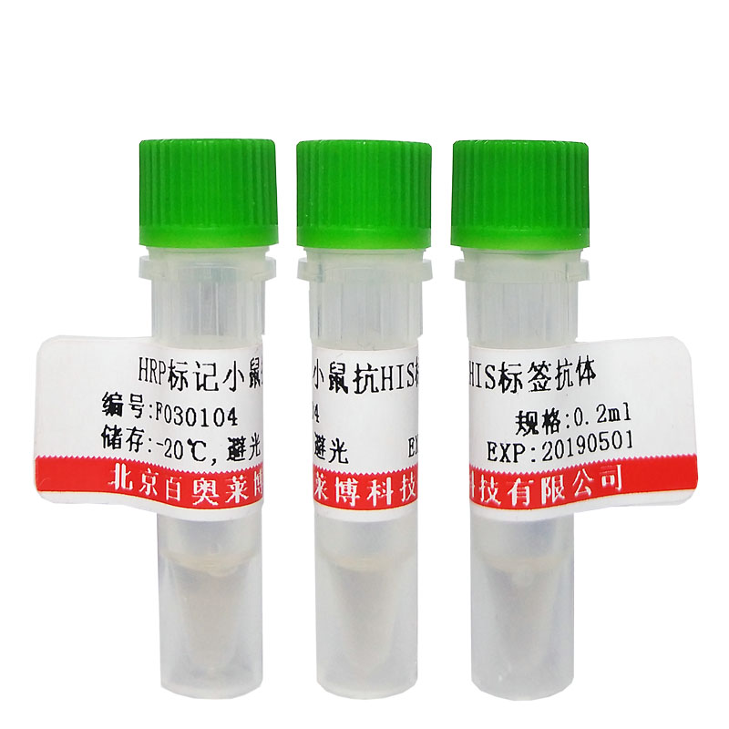 透明质酸结合蛋白4抗体北京价格