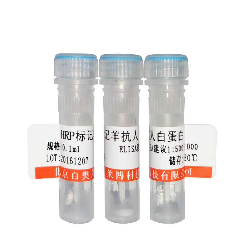 北京现货毒蕈碱型乙酰胆碱受体M4抗体打折促销