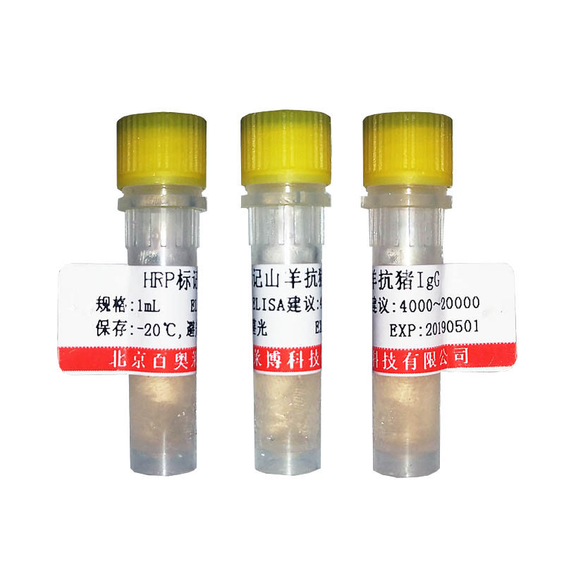 北京现货胰高血糖素样肽-1受体/GLP-1受体抗体促销