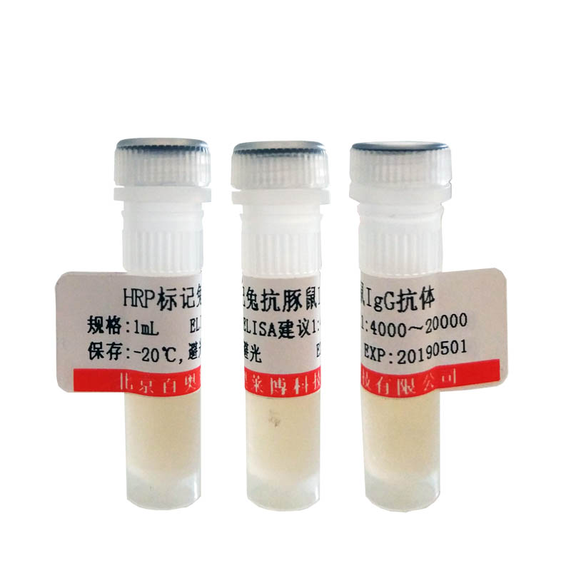 北京造血干细胞抗原CD133相关蛋白抗体现货价格