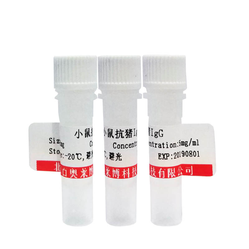 北京磷酸化丝切蛋白(Ser3)抗体报价