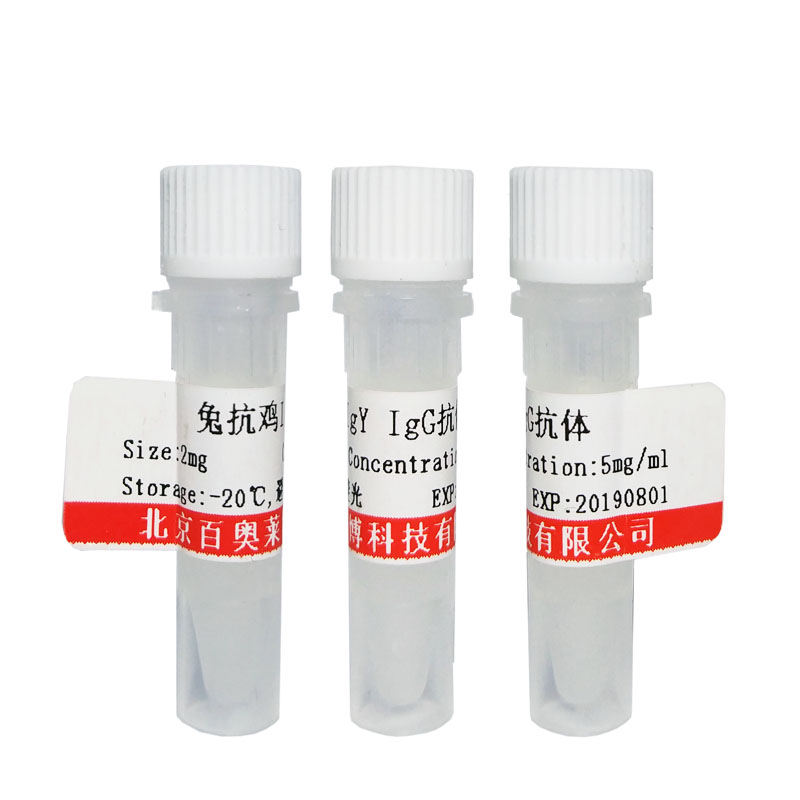 北京现货肝细胞生长因子激活物抑制剂/HGFA Inhibitor 1抗体厂家