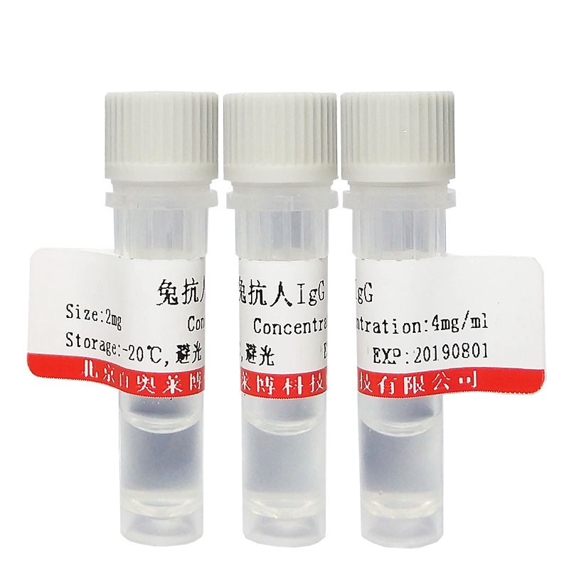 北京FAM71A蛋白抗体优惠促销