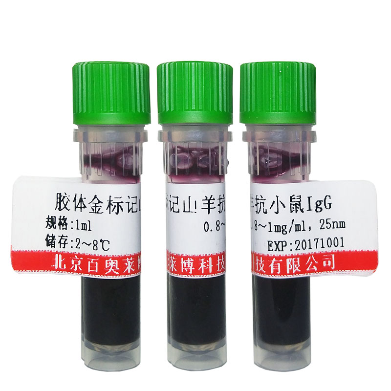 北京细胞质多聚腺苷酸结合蛋白4抗体现货供应