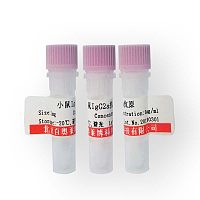 北京现货细胞因子样蛋白1抗体库存