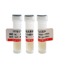 半椎蛋白2抗体厂家价格