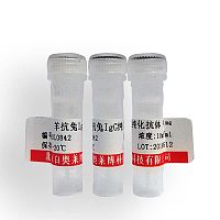 RASAL3蛋白抗体北京现货促销