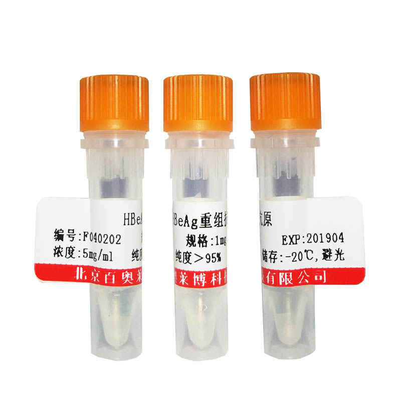 A型流感病毒H3N2-M2蛋白抗体报价
