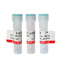 北京现货载脂蛋白E4抗体厂家