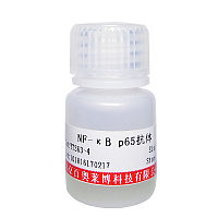 SNRP70蛋白抗体哪里卖