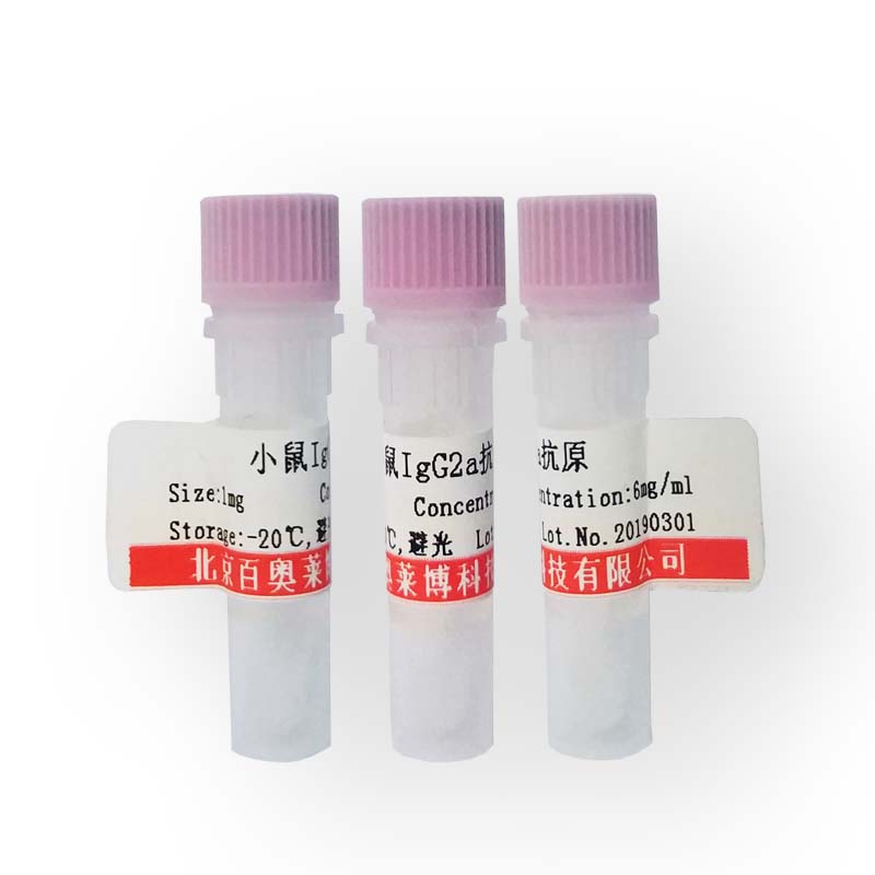磷酸化Bcl-xL蛋白抗体库存