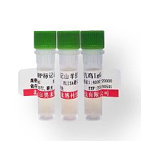 北京人胎盘泌乳素抗体大量库存促销