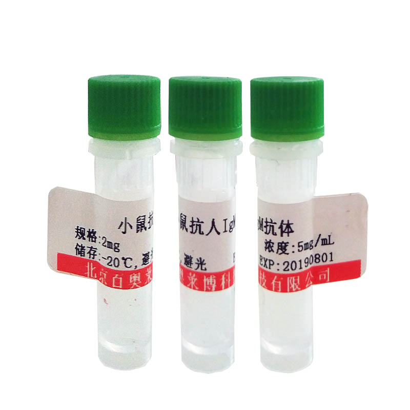 北京现货白细胞介素增强子结合因子3抗体销售