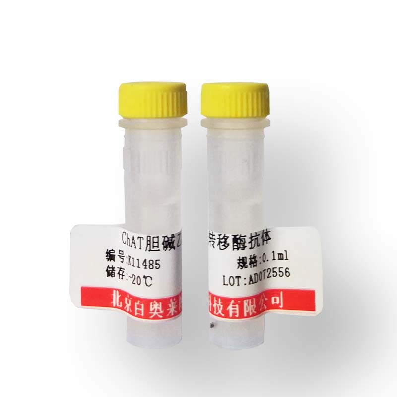 组蛋白乙酰转移酶MYST3抗体现货