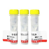 多腺苷二磷酸多聚酶抗体/多聚ADP-核糖聚合酶1北京厂家现货